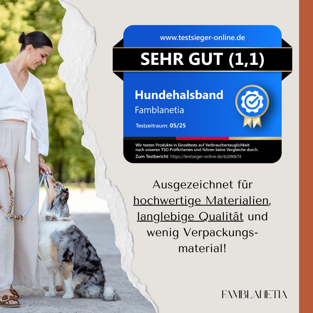 Hundehalsband (S) Leder & Paracord geflochten | Große, mittlere & kleine Hunde | 2cm breit | außergewöhnlich, ausgefallen | blau braun Gold | weiches Fettleder | Tau handgemacht