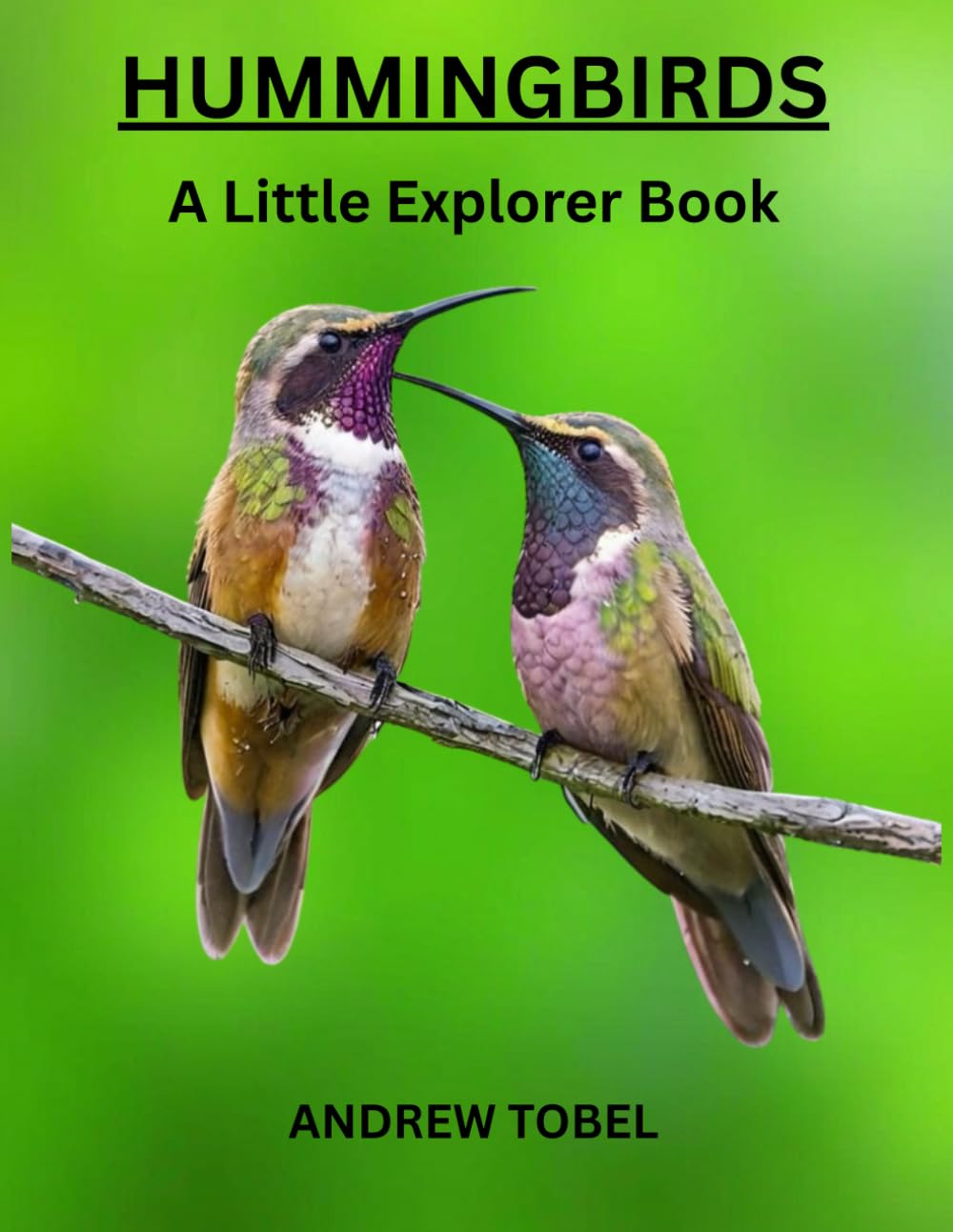 HUMMINGBIRDS (LITTLE EXPLORER BOOKS)