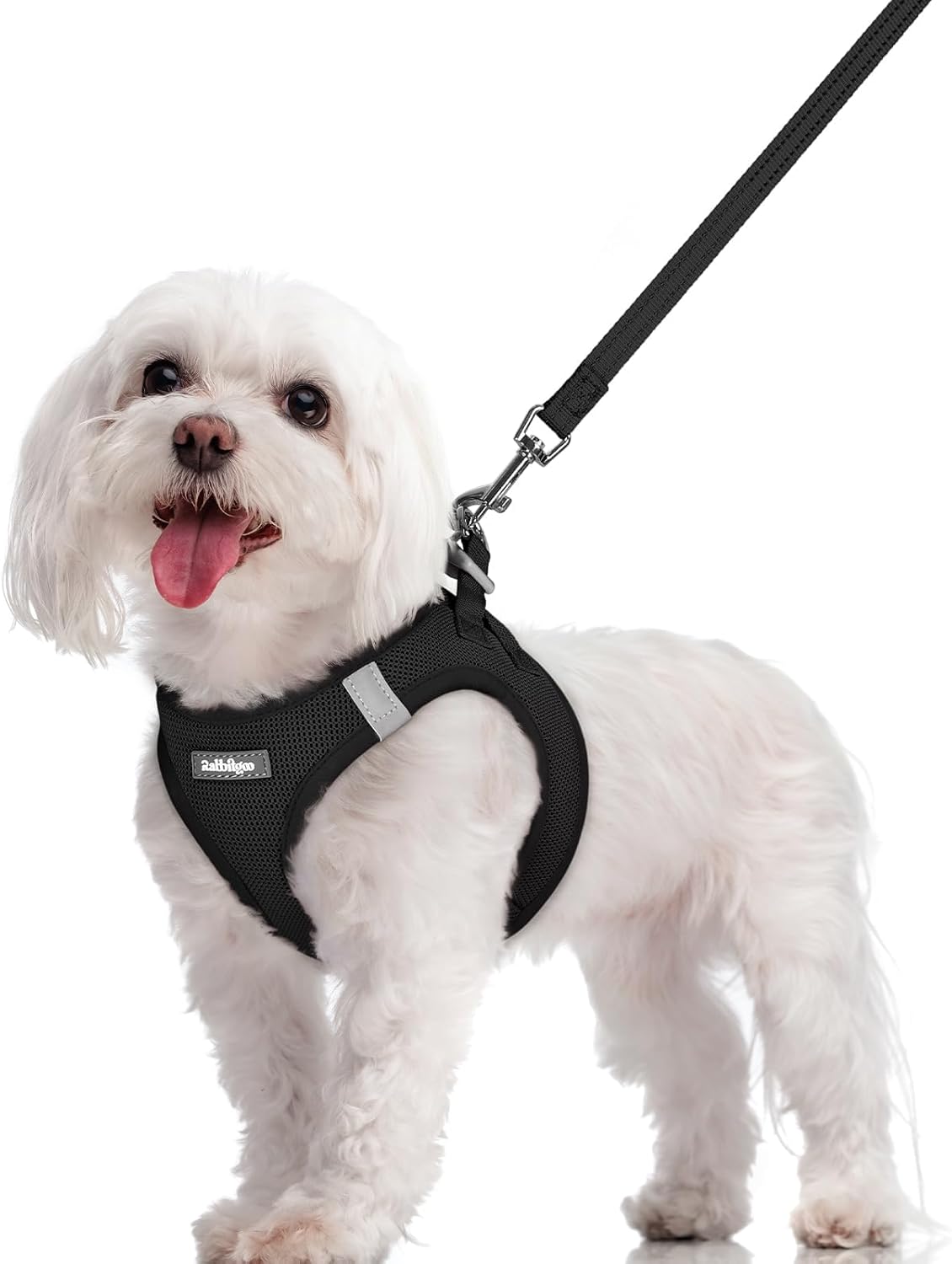 rabbitgoo Dog Harness Small Sized and Leash Set, Step in Soft Light Puppy Vest, Breathable Mesh Pet Harness, Reflective for Safe Easy Walking, Black M M (Chest: 16 - 18.5") Black