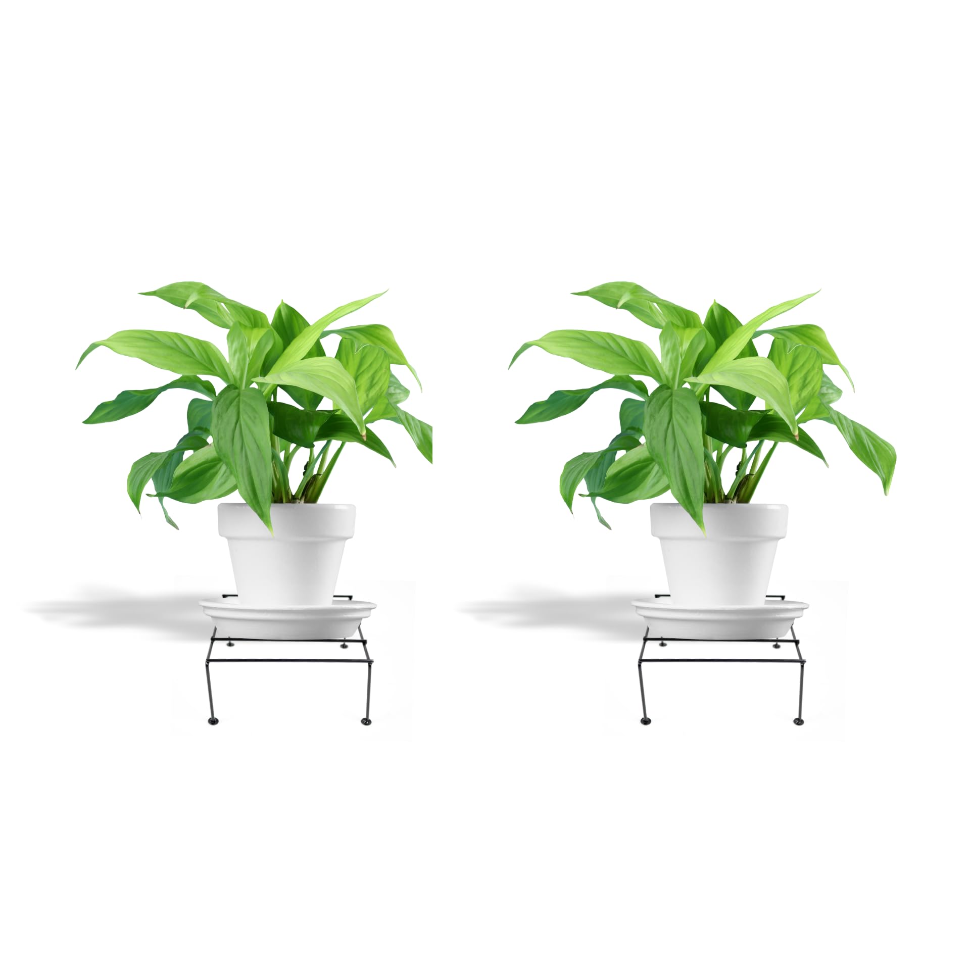 See full amazon price history chart for NAYRA Strong Stylish Four legs Design Metal Square Shape stands For Plant Pot Flower Pot Stand For Planter indoor and Outdoor (Square Stand -2) NAYRA Strong Stylish Four legs Design Metal Square Shape stands For Plant Pot Flower Pot Stand For Planter indoor and Outdoor (Square Stand -2) (B0BJDRVNLK) Amazon Price History, Amazon Price Tracker
