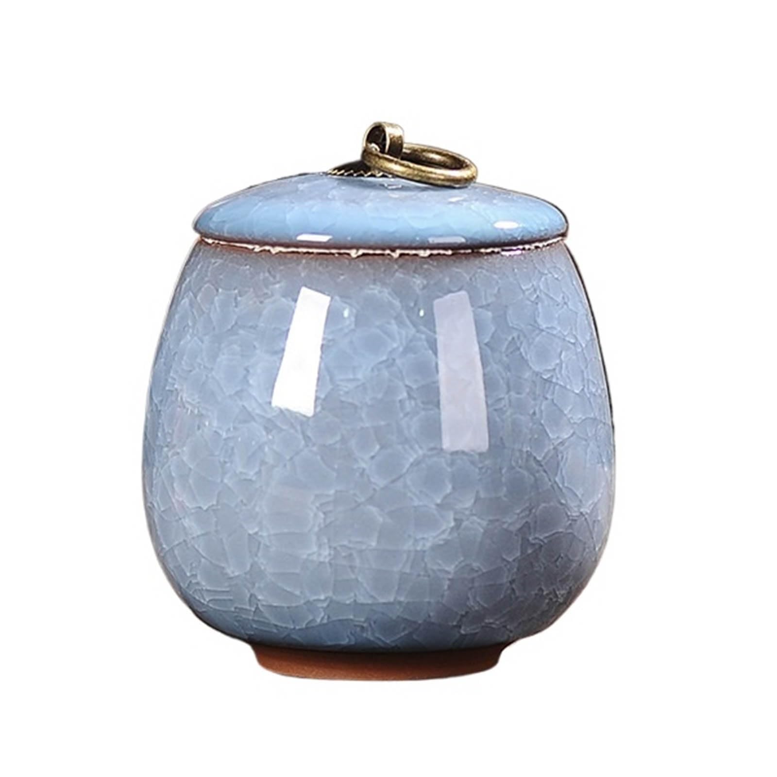 Contenitore for caffè, contenitore for tè, mini contenitore for tè, contenitore for tè multifunzionale, contenitore for caffè in ceramica, utilizzato in cucina for conservare tè, cereali e zucchero(Bl