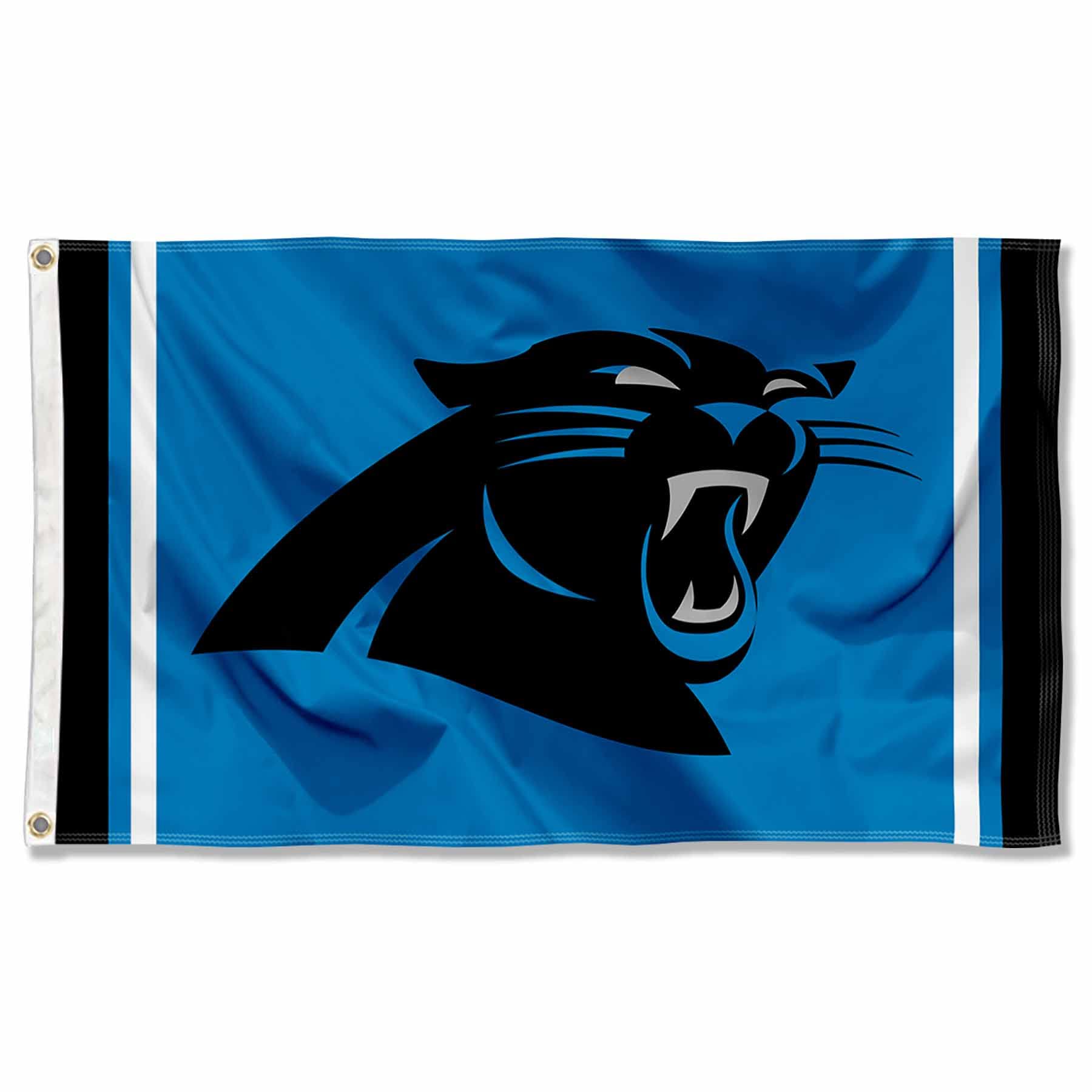 Amazon.com: College Flags and Banners Company: Panthers