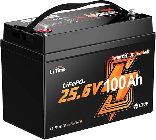 LiTime 24V 100Ah Mini LiFePO4 Battery for Off-Grid, RV, Camper