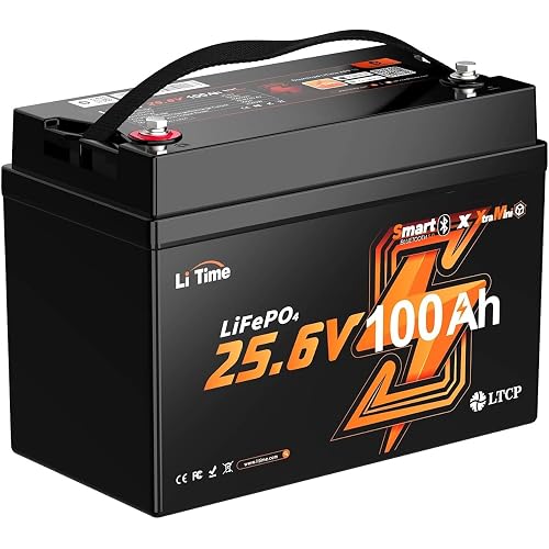 LiTime 24V 100Ah Mini LiFePO4 Lithium Battery, Group 31+, 6000+ Deep Cycles, Bluetooth 5.0, Low-temp Cutoff Protection for Off-Grid RVs, Marine Trolling Motors, Home Energy Storage
