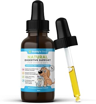 Wormwood Digestive Intestinal Support Supplement Drops for Dogs & Cats   50ml | Designed to Support Digestive Wellness and Help Maintain a Healthy Environment | Easy-to-Use Liquid Drops