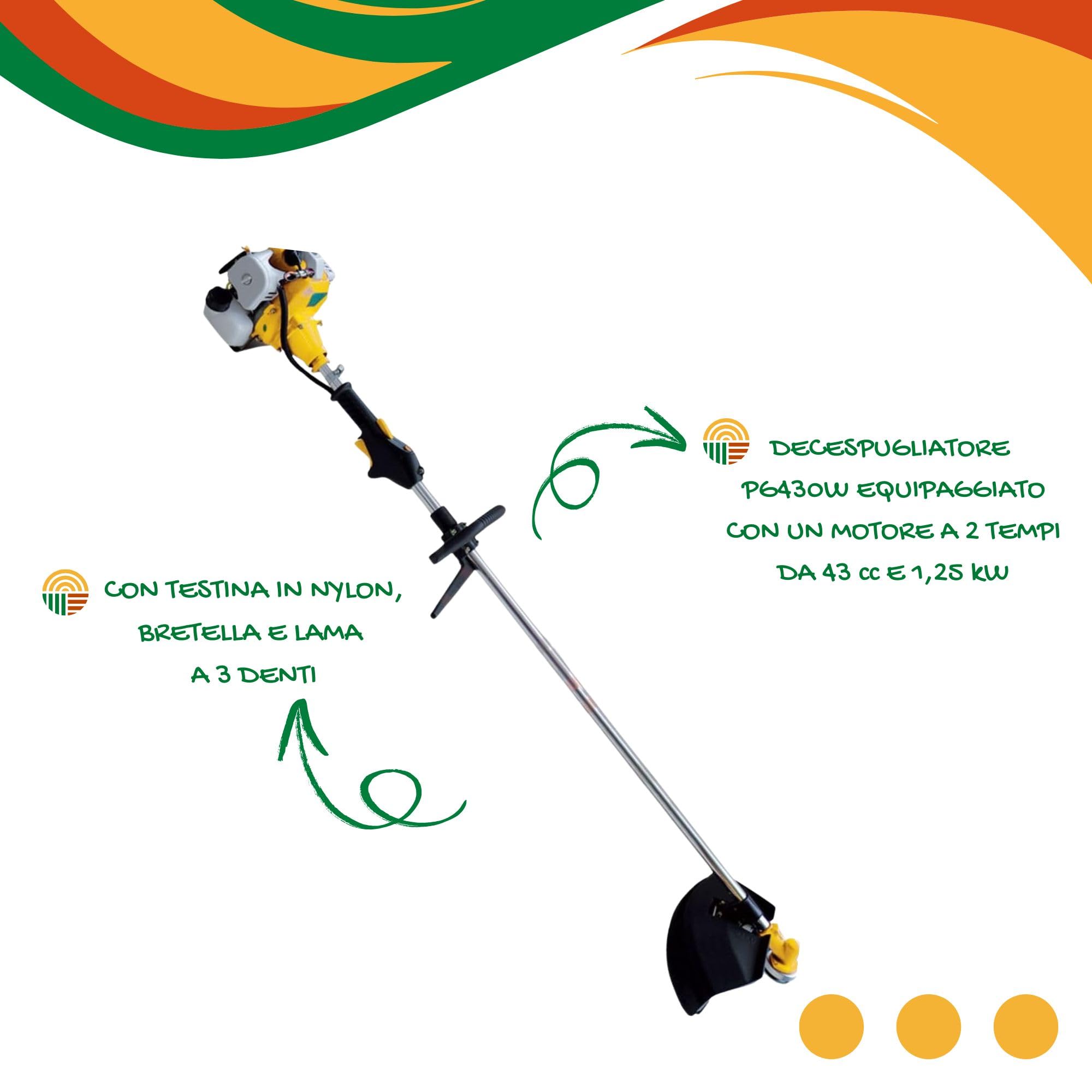 Desbrozadora eléctrica LIF PG430W - Cortacésped eléctrico, herramienta de jardín con arranque manual, mango ergonómico y muchos accesorios incluidos, rendimiento y calidad garantizados