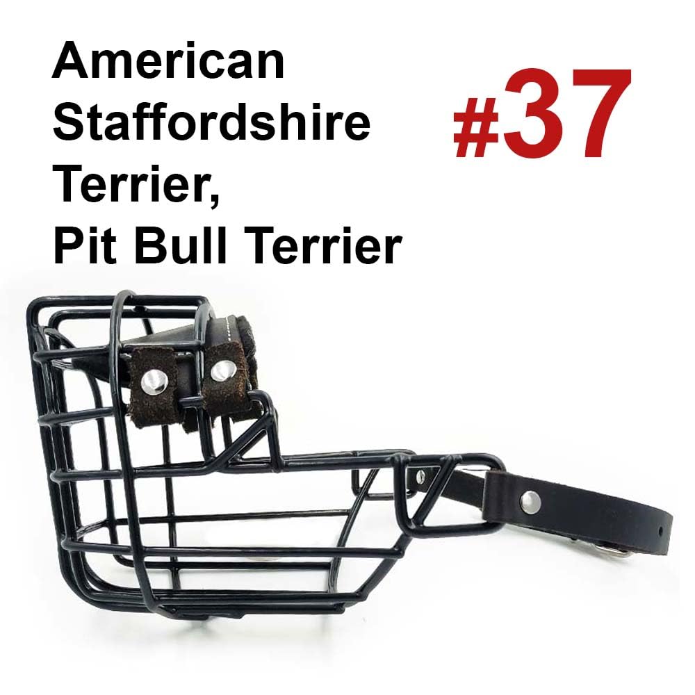 Bozal de Metal para Perro #37 para Amstaff y Pit Bull - Cesta de Alambre recubierta de plástico para Calavera Ancha - Correas de Cuero Transpirables y Ajustables