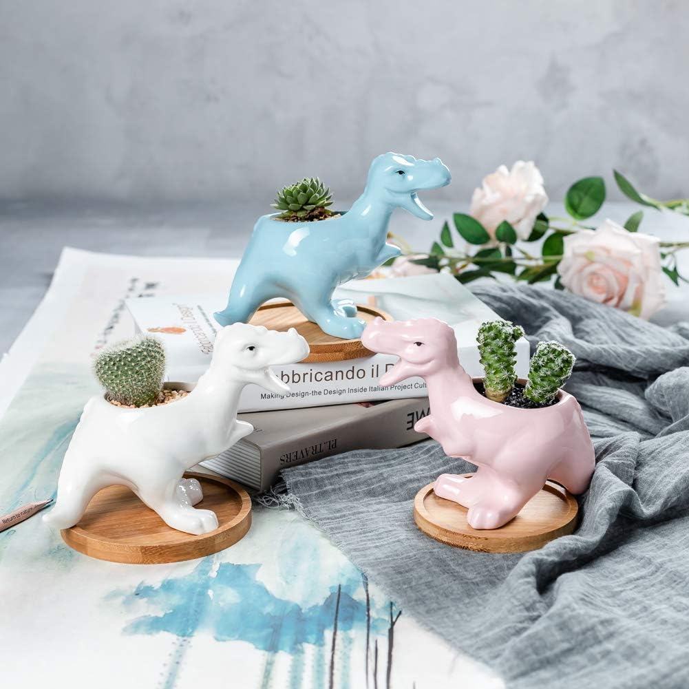 Miaowoof Dinosaur Shape Ceramic Succulent Planter Pot with Drainage Tray Multipurpose Bonsai Plant Vase Creative Cactus Flower Pot with Drain Hole - Home Office Garden Decoration