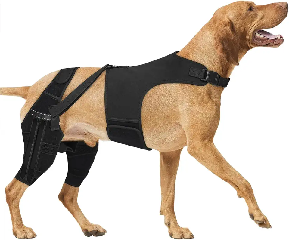 Vestuário de apoio para joelho e quadril de cachorro, para fraqueza articular e pós-cirurgias, proteção para perna de cachorro, suporte estabilizador, perna dupla