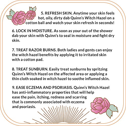 Quinn’s Alcohol Free Witch Hazel With Aloe Vera 16 Ounce (Rose) #TOP4