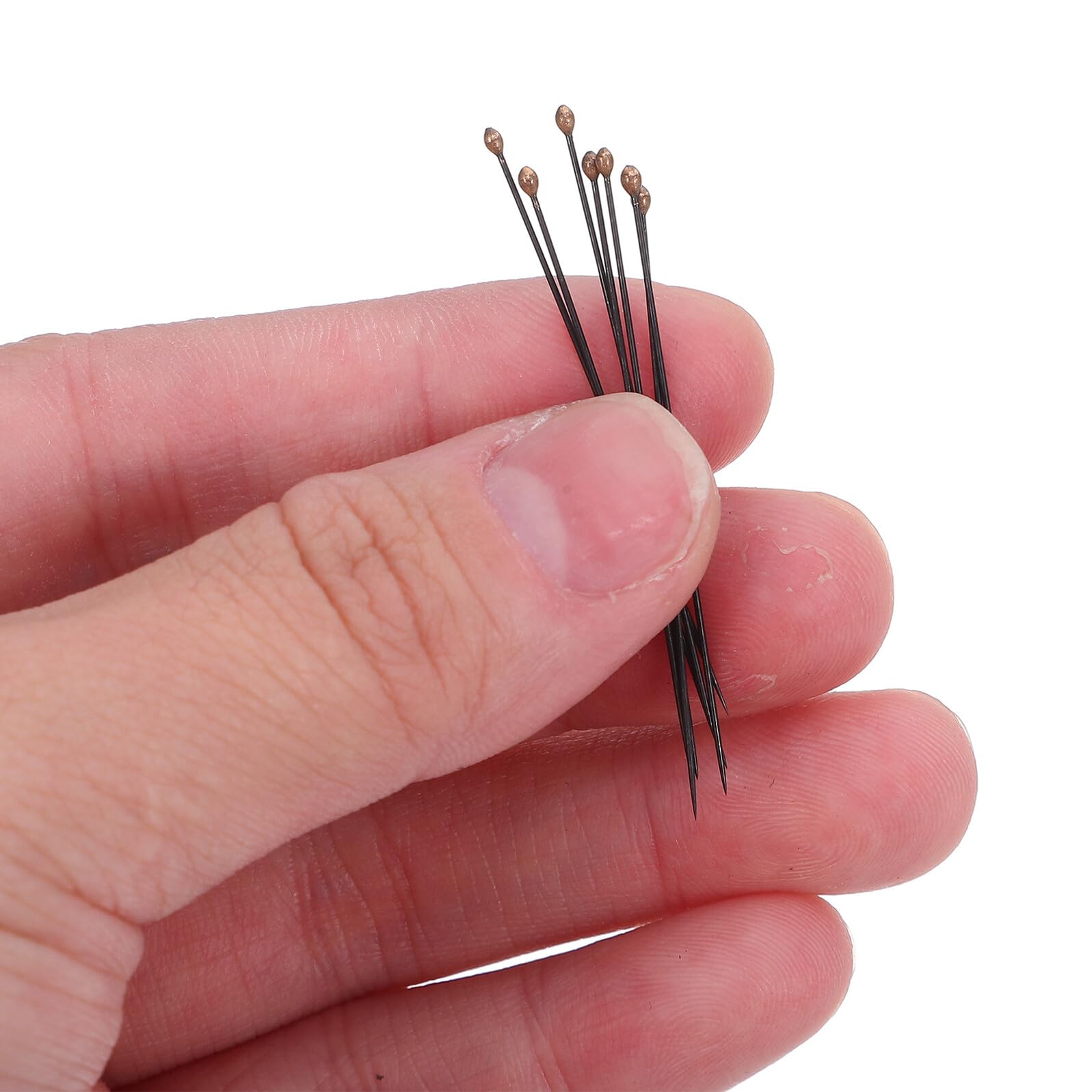 FRCOLOR Épingles Entomologiques Noires en Acier Inoxydable, Kit D’aiguilles de Fixation pour Spécimens D’insectes, Amortissement Précis Anti-reflets, Accessoires pour Laboratoire