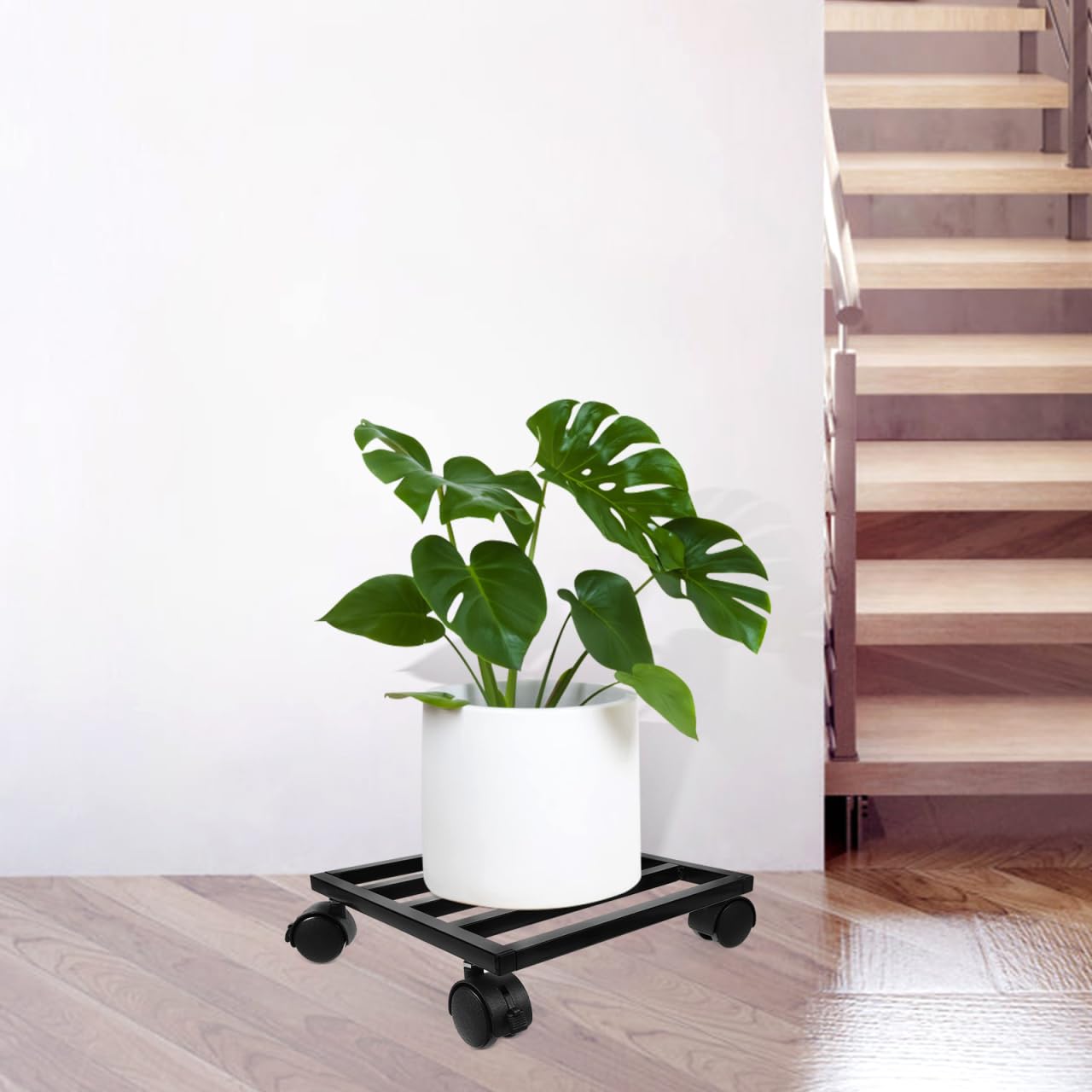 Kisangel Support De Plante avec Roulette 9.84In Base Roulante pour Pot De Fleur Robuste Mobilité Facile Intérieur Extérieur Jardin