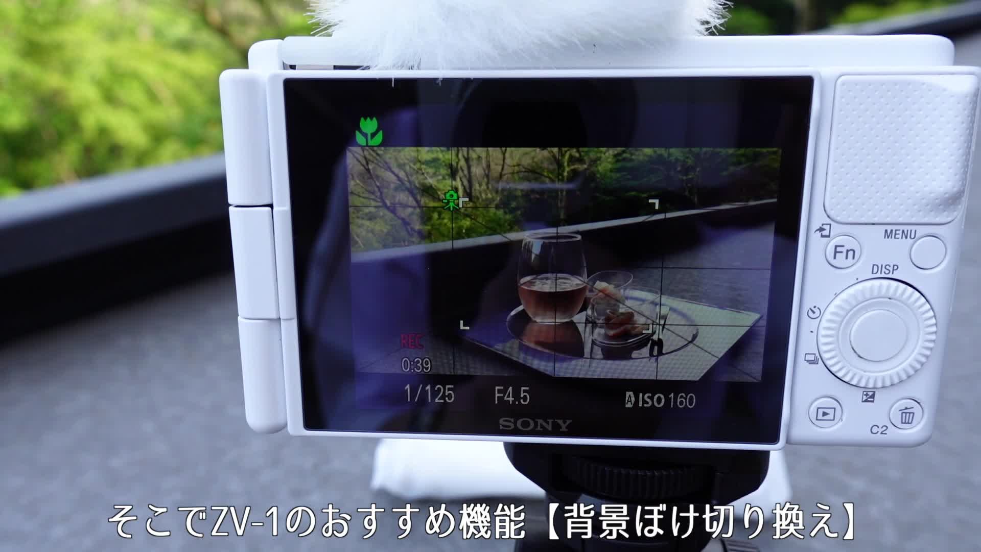 ZV-1_大人の休日CH