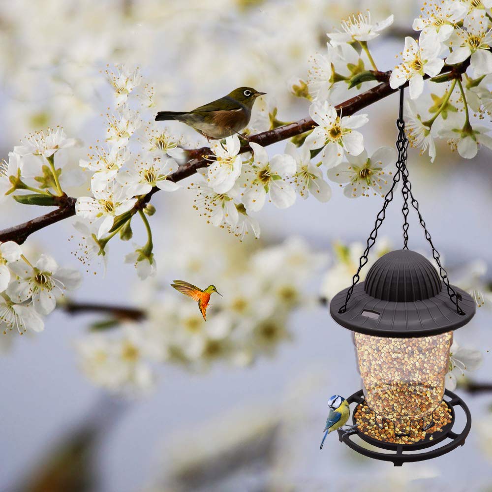 TEAYTIS Wild Bird Feeder, Hanging Bird Feeder Panorama Gazebo Bird Feeder, Foldable and Portable Hanging for Outside Garden Yard Decoration