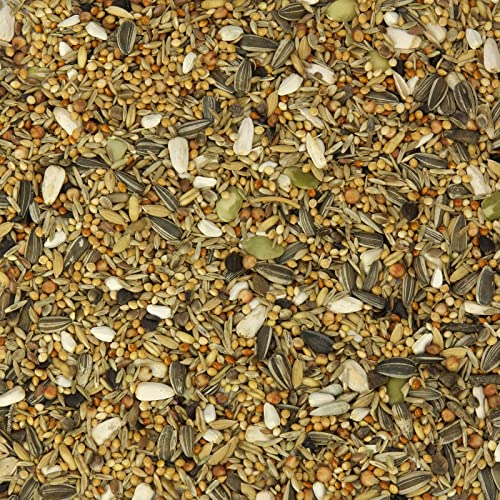 Großsittich-Fit Futter für Großsittiche mit Grassamen 2,5 kg