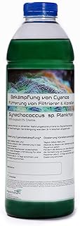 Plankton Synechococcus sp. (1 Liter) Cyano Stopp Fütterung von Korallen und Filtrier