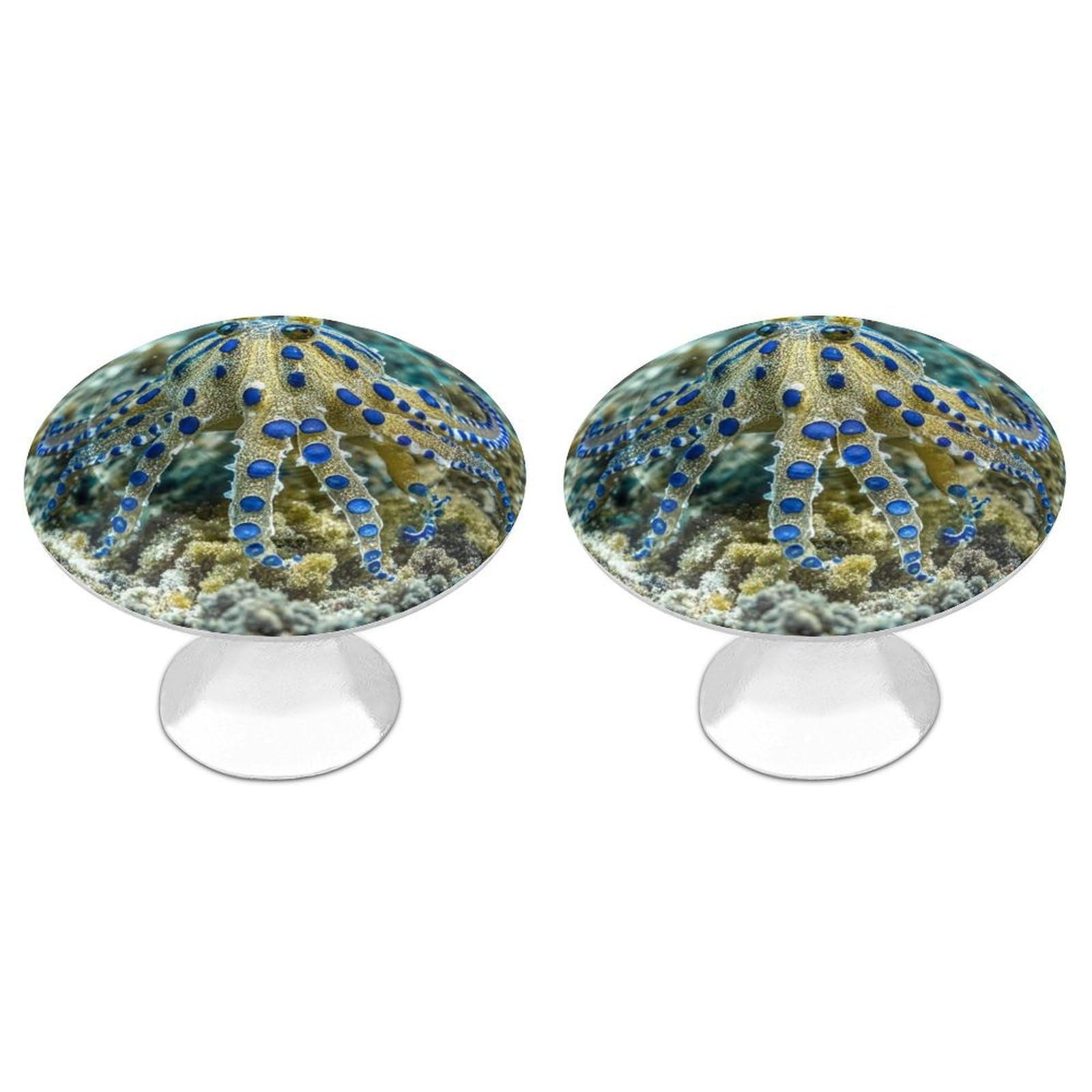 FekiLoot Round Cabinet Knob 2 Pack Kitchen Drawer Knobs Stainless Steel Round Drawer Pulls Modern Cabinet Hardware Blue Ringed Octopus Drawer Hardware for Dresser Closet Door Knobs