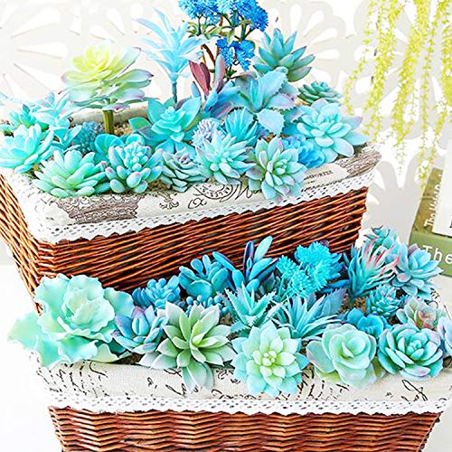 Cayway 21 Pz Succulente Piante Artificiali Blu