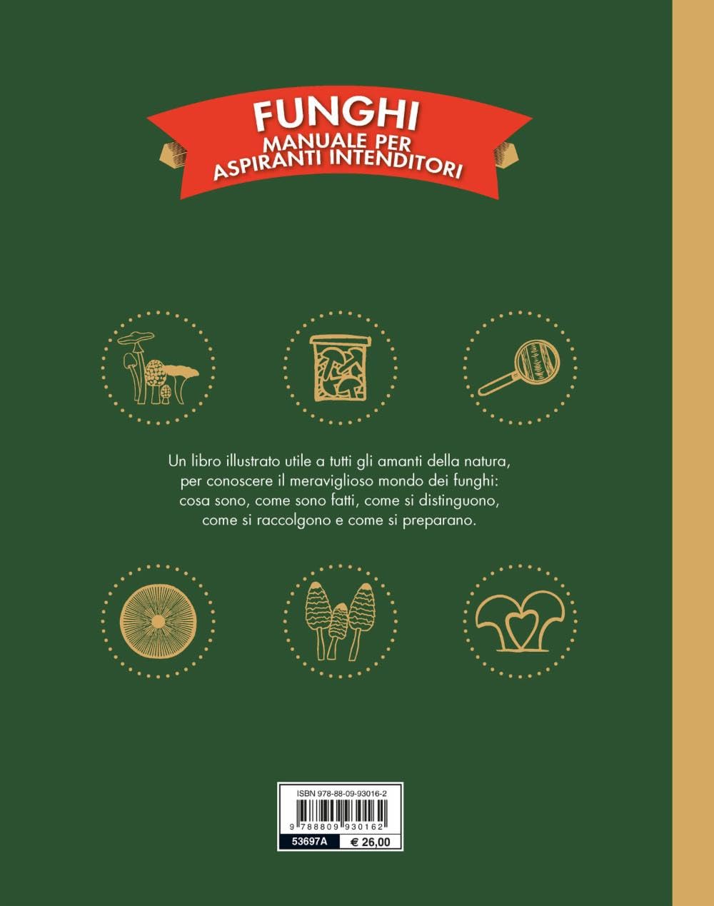 Funghi. Manuale per aspiranti intenditori