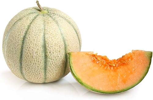 Miniatura 3 de Las mejores semillas de melón jumbo para plantar, más de 50 semillas de melón tradicionales por paquete, semillas de jardín de Isla (semillas de