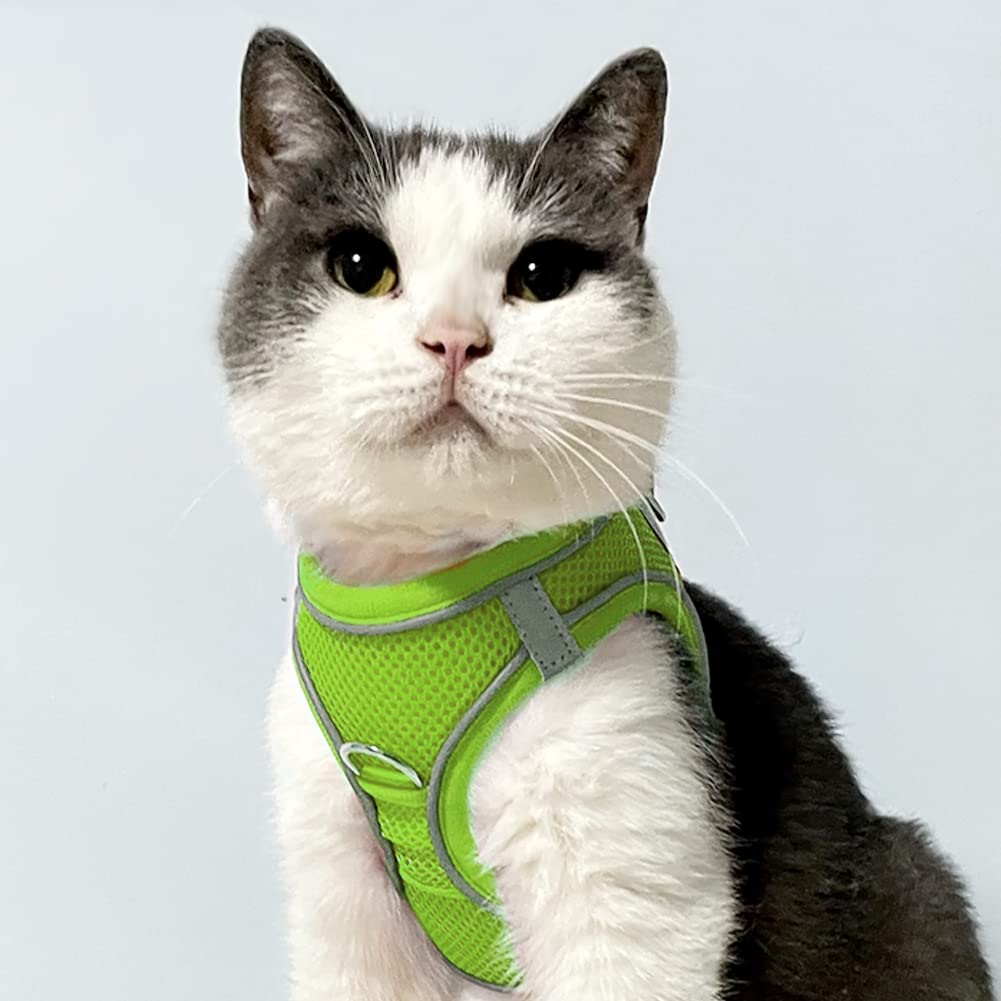 Joytale Step in Dog Harness,Soft Mesh Reflective Breathable Vest Harnesses,Easy Walk Harness with Safety Buckle for Cat,Puppies and Extra Small Dogs,XXS,Green - Image 2