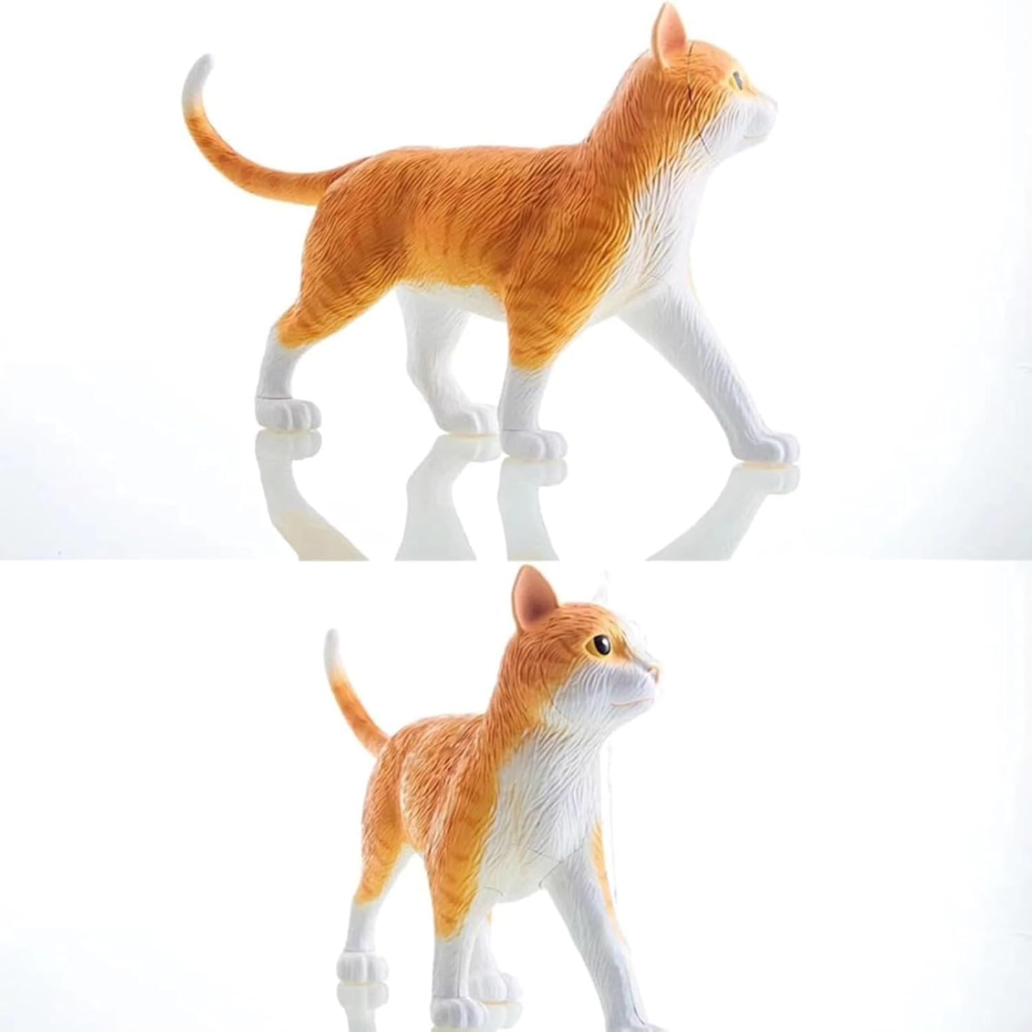 Modello Anatomico di Gatto 4D 28 Pezzi Kit di Modelli di Anatomia dello Scheletro di Gatto Arancione 4D Il Modello, Lungo 30 Cm, Contiene 28 Organi E Parti del Corpo Staccabili