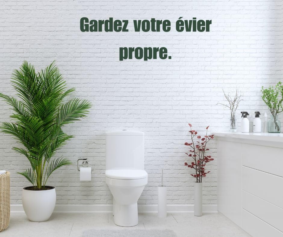 Pastilles nettoyantes biologiques pour citernes urinaires et toilettes I élimine les mauvaises odeurs I évite les embouteillages I garde les toilettes propres, sans tartre et incustrations