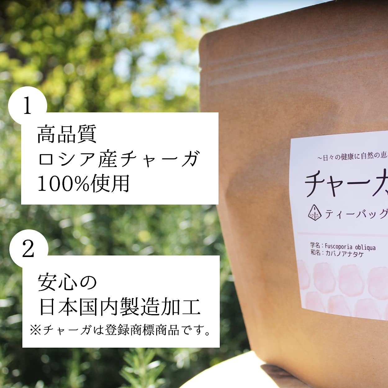 Amazon.co.jp: チャーガ茶 ティーバッグタイプ 30包入り 無添加 ロシア