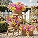 SHareconn 24 Bundles Artificial Flowers for Outdoors Decoration, Faux Plants Fake Silk Colorful Daisy Eucalyptus Lavender, UV Resistant for Outside Home Porch Patio Indoor Spring Decor, Mix 5 Colors