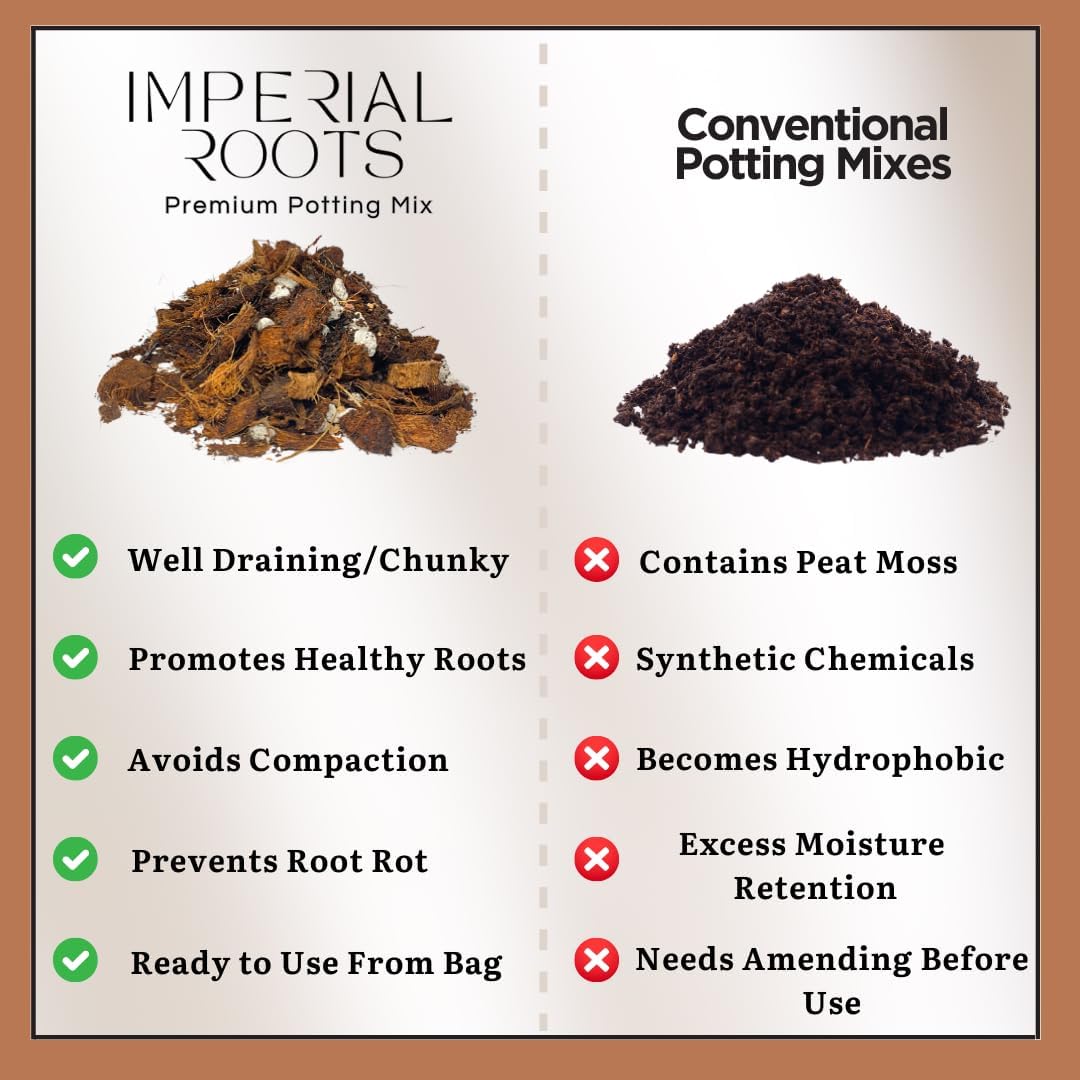 Premium Indoor Plant Potting Mix (4qt) – Peat-Free, Well-Draining Soilless Blend for Aroids & Tropical Houseplants with Coco Coir, Biochar & Pumice