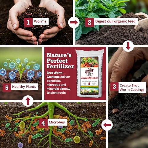 Brut Worm Farms Fertilizante Orgánico Vermicompost 2-Pack miniatura 3