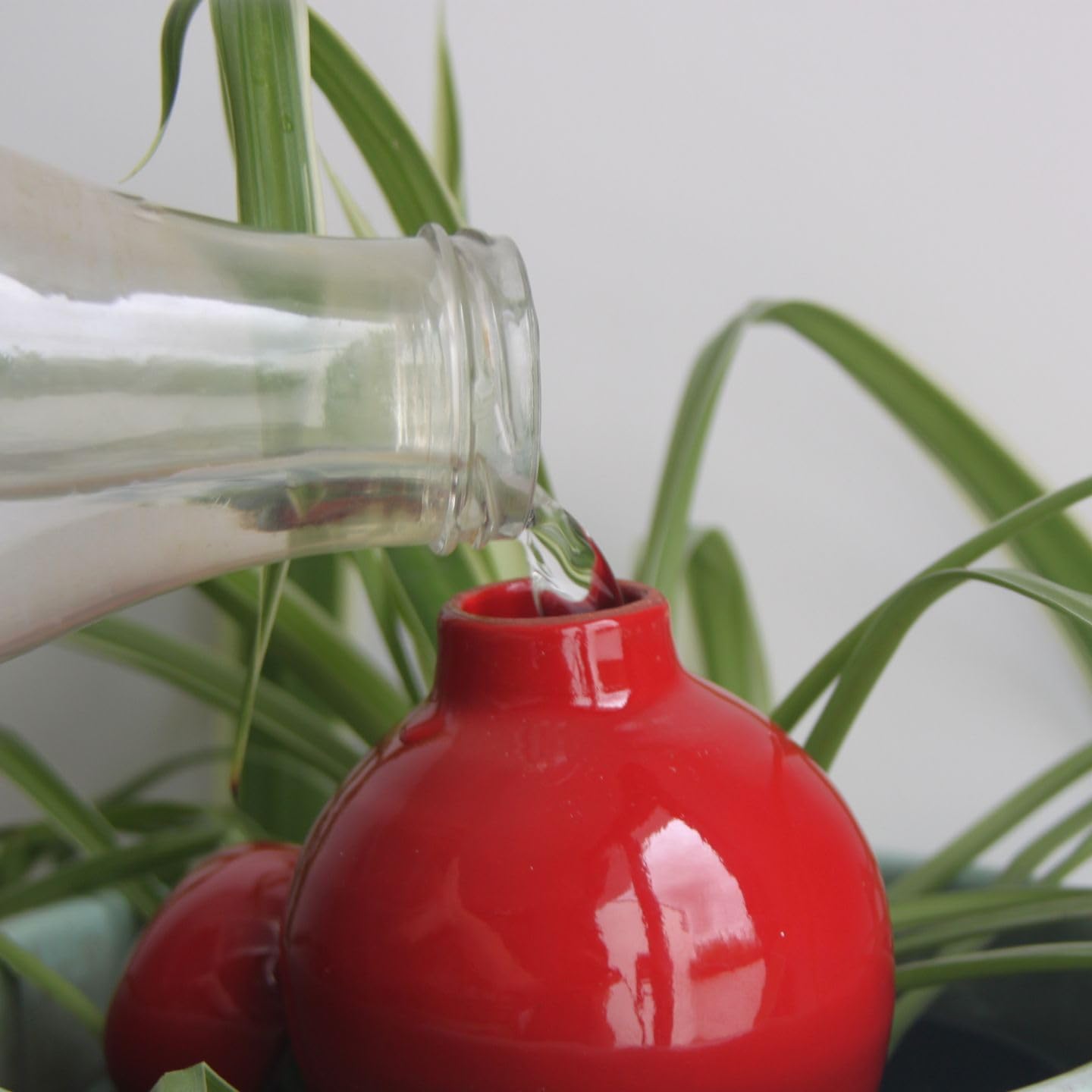 Coffret Ollas à Planter Décoré — Mini Olla 25 cl + Olla Rouge 40 cl + Olla Blanche 40 cl — Plantes d’Intérieur et Aromatiques — Fabrication Artisanale Française — Terre Cuite