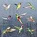 4 Blatt 9 Stück Großes Kolibri-Fenster Klammert Sich An Doppelseitigen Druck, Bird Alert Anti-Kollisions-Kolibris Statische Aufkleber, Um Vogelschläge Auf Fensterglas Zu Verhindern