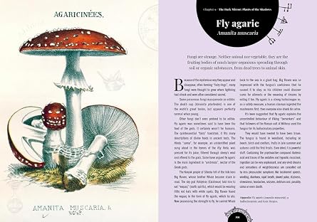Kew - The Witch's Garden: Plants in Folklore, Magic and Traditional Medicine