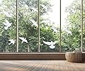 Anti-Collision Window Alert Bird Stickers Silhouettes Glass Door Protection and Save Birds, Transparent (12 Silhouettes)
