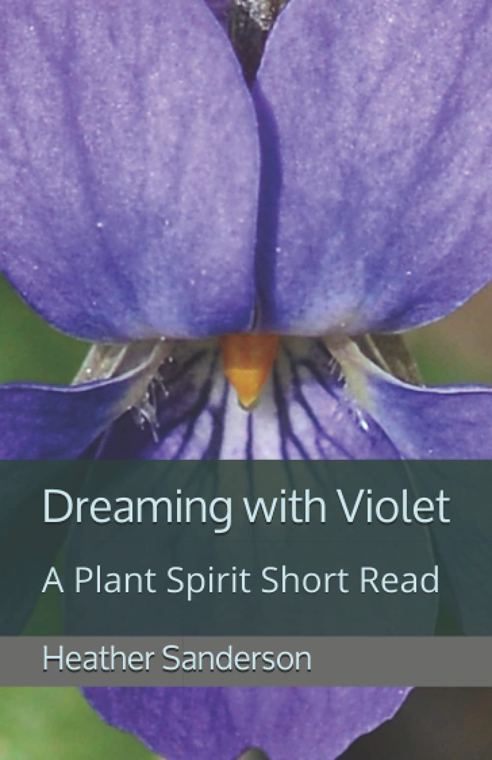 Dreaming with Violet: A Plant Spirit Short Read (Dreaming with the Plants)