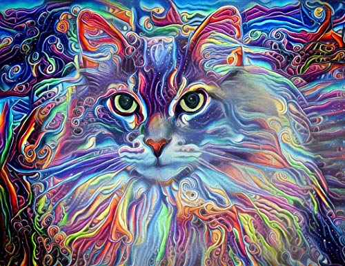 Colorful Maine Coon Cat Fine Art Print - Abstract Wall Decor Poster 8.5 x 11