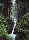 Sol Duc Falls plunges down the cliffs Forks Washington United States of America Poster Print by...
