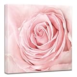 Pink Rose Close Up Canvas Wall Art Blush Pink Bathroom Decor Aesthetic Light Bedroom Decorations Artwork for Home Walls Floral Wall Pictures Wrapped 14x14inch