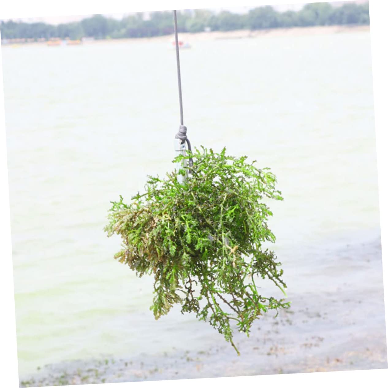 Rasoir Pliant en Acier Inoxydable pour Plantes Aquatiques, Outil de Désherbage et Débris, Facile à Ranger, pour Nettoyage de Lacs et Bassins Couleur Aléatoire