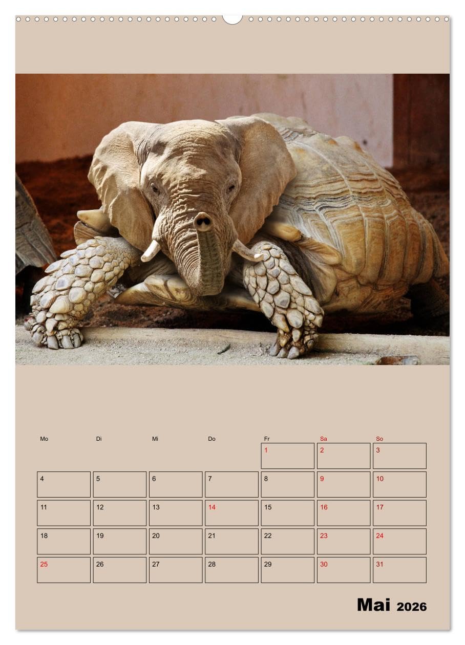 Seltsame Tiere - da stimmt doch was nicht... (hochwertiger Premium Wandkalender 2026 DIN A2 hoch), Kunstdruck in Hochglanz: Fantasiewesen, geboren aus erstaunlichen Bildmanipulationen (CALVENDO Tiere)