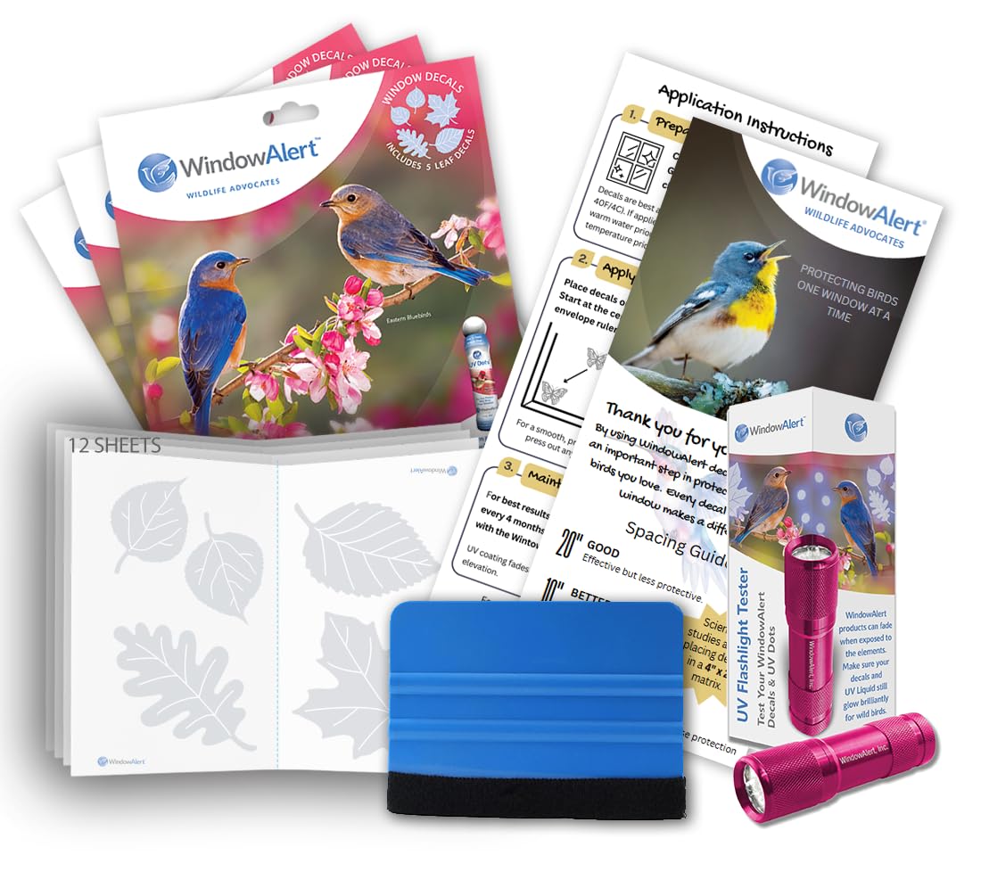 WindowAlert Leaf Medley Large Starter Pack - Bird Strike Prevention Decals (12 Envelopes) with UV Tester Flashlight & Application Squeegee - Made in