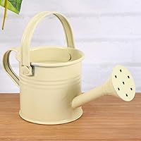 Vista 4 de DOITOOL 5 macetas de agua de jardinería: mini latas de riego de hierro (estilo mixto)