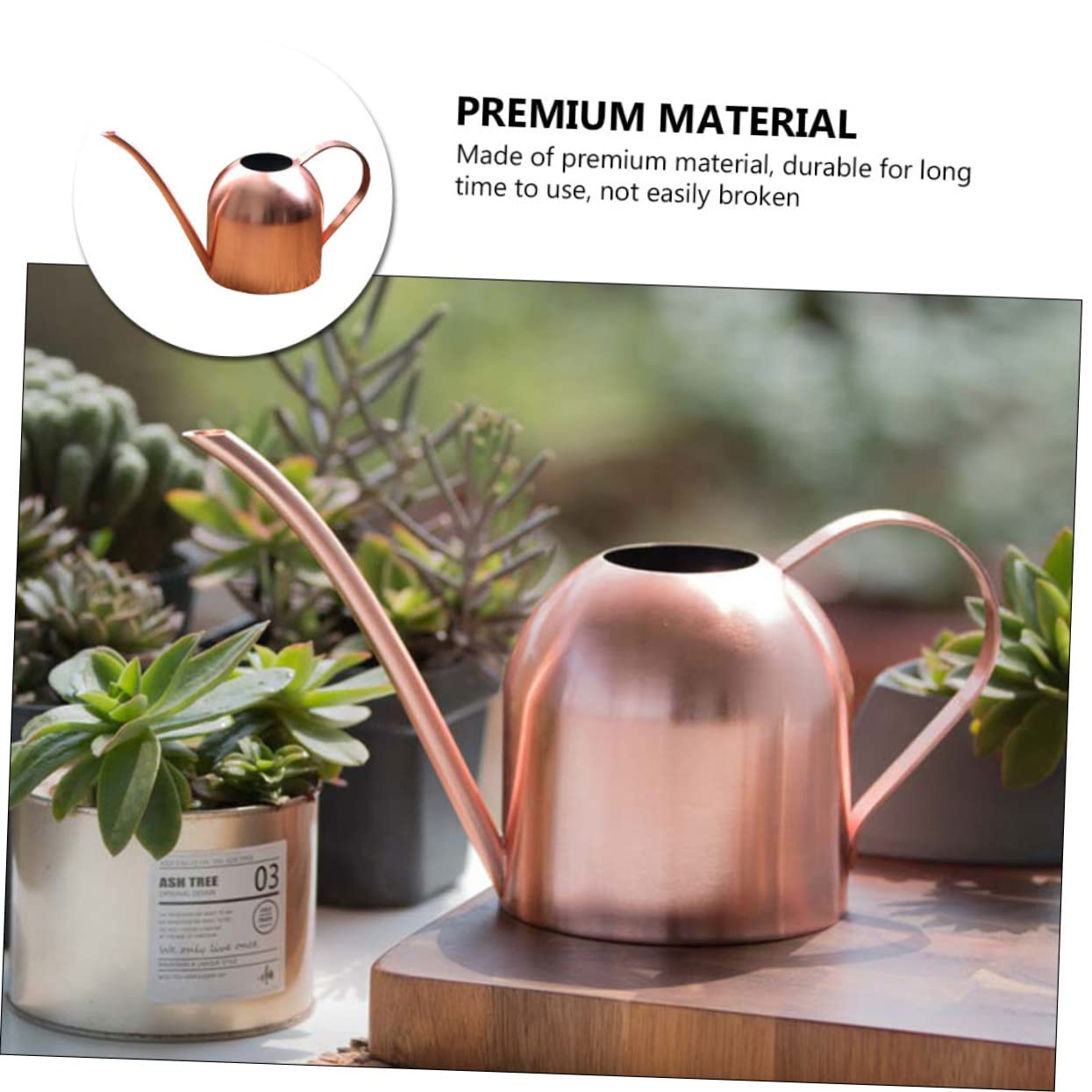 Acciaio Inox Annaffiatoio 500ml Beccuccio da Giardino