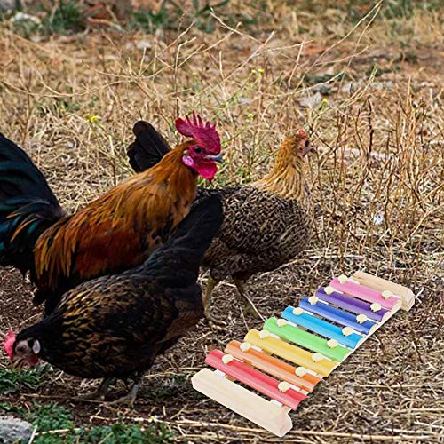 earlyad Huhn Xylophon Spielzeug 8 Schlüssel Huhn Hackspielzeug Hühnerstall Hackspielzeug Geeignet für Hühner Hühnerstall… – Bild 6