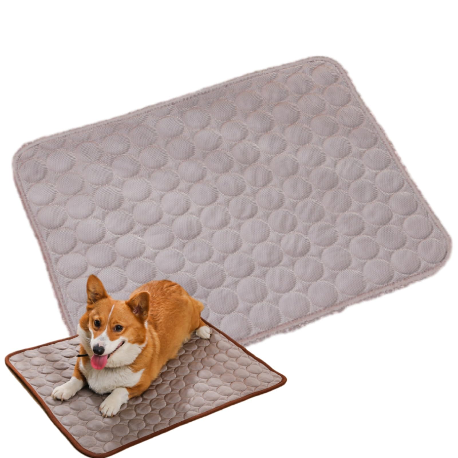 Tapis rafraîchissant pour grand chien contre les fortes chaleurs