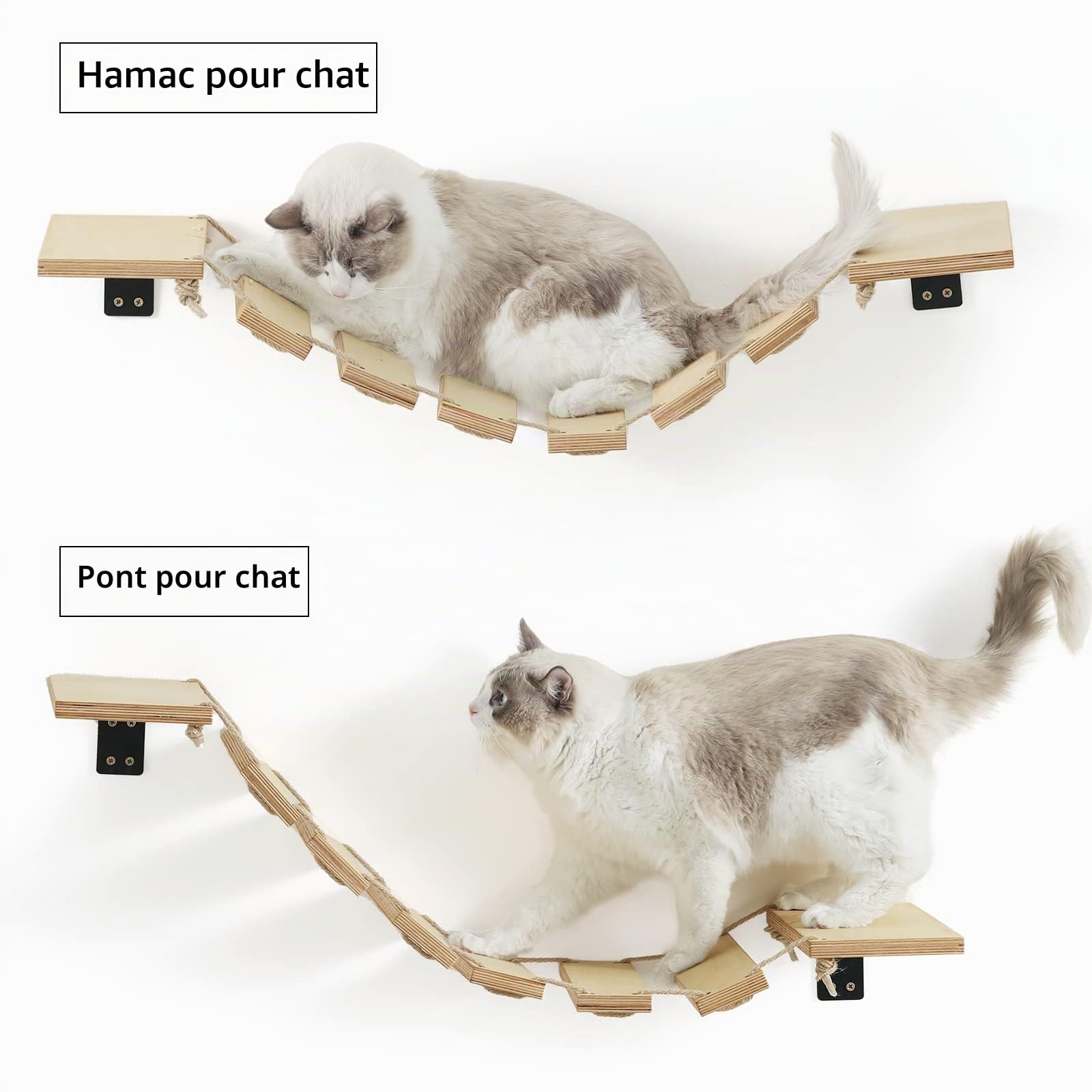 FUKUMARU Étagère Murale pour Chat, Pont, Perche, Arbre à Chat, Meuble pour Dormir, Jouer, Escalader et Se Détendre, Bois d'Hévéa Massif