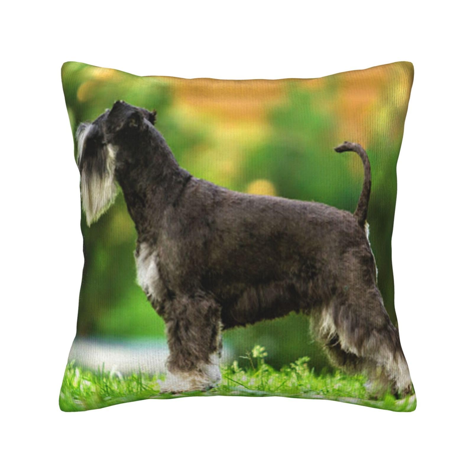 Housse de coussin schnauzer en velours pour décorer votre salon cocooning