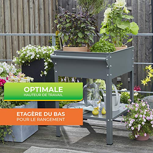 Chariot à fleurs Steinfurt Bio Green gris 55x80 cm pour jardin