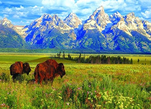 Grand teton jigsaw puzzle Outlet